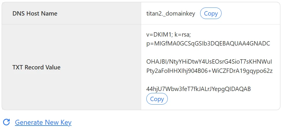 A DNS Host Name and a TXT Record Value, each with a Copy button