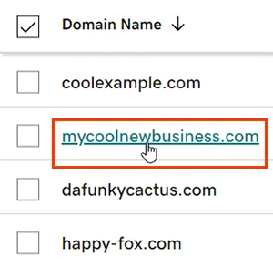 GoDaddy's domain list with one domain outlined