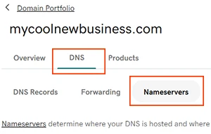 The DNS tab and the Nameservers tab outlined on GoDaddy's Domain Settings page